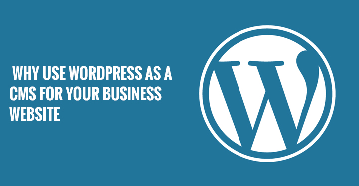 WordPress for Your Business Website