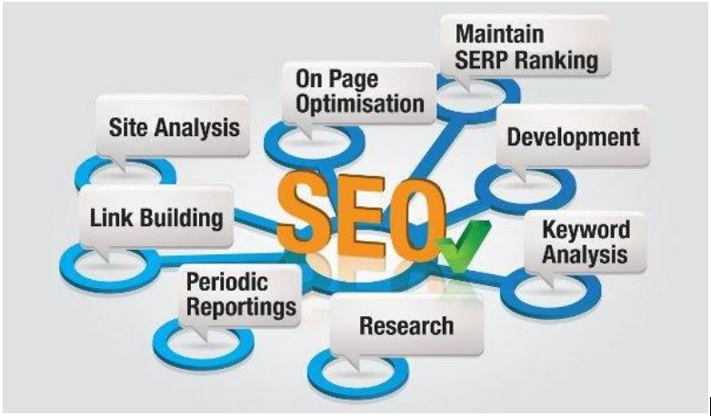 seo company in delhi