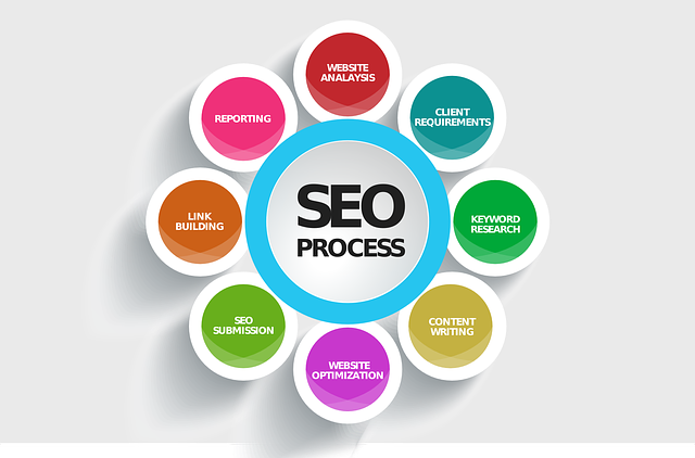 seo company in delhi