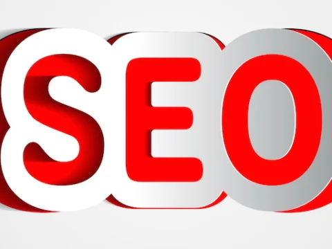 seo service in delhi