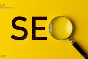 seo-services-company-delhi