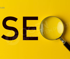 seo-services-company-delhi